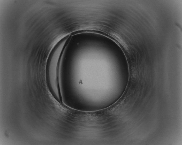 X0000091860980200709191112