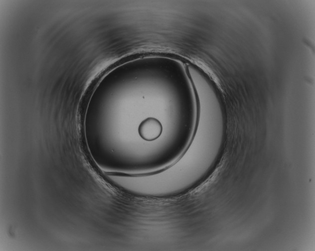 X0000091860981200709191112