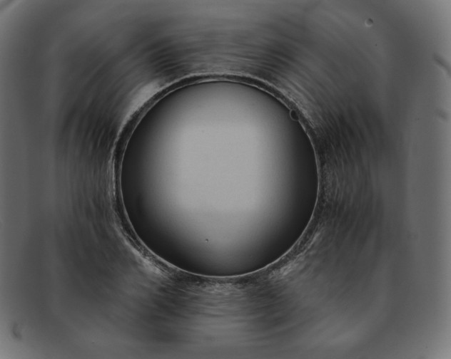 X0000091860982200709191112