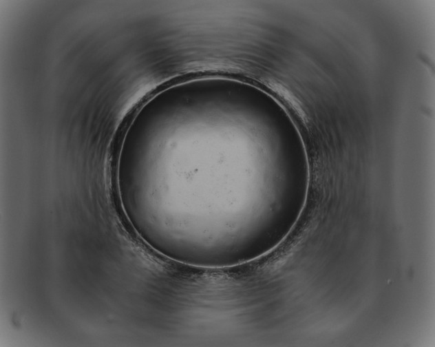 X0000091860983200709191112