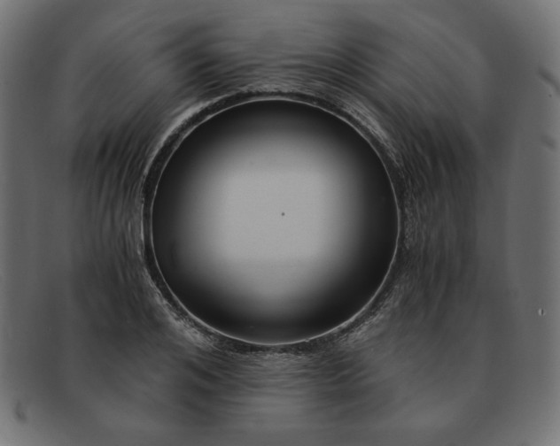 X0000091860984200709191112