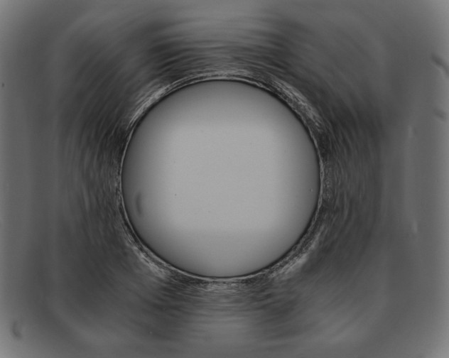 X0000091860985200709191112