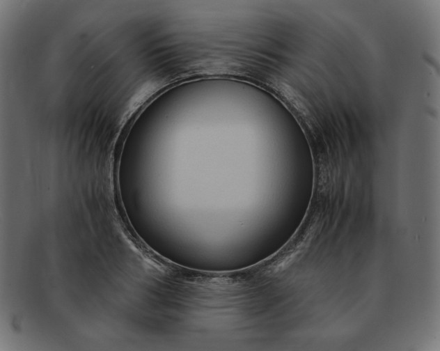 X0000091860986200709191112