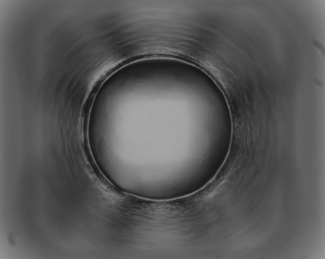 X0000091860987200709191112