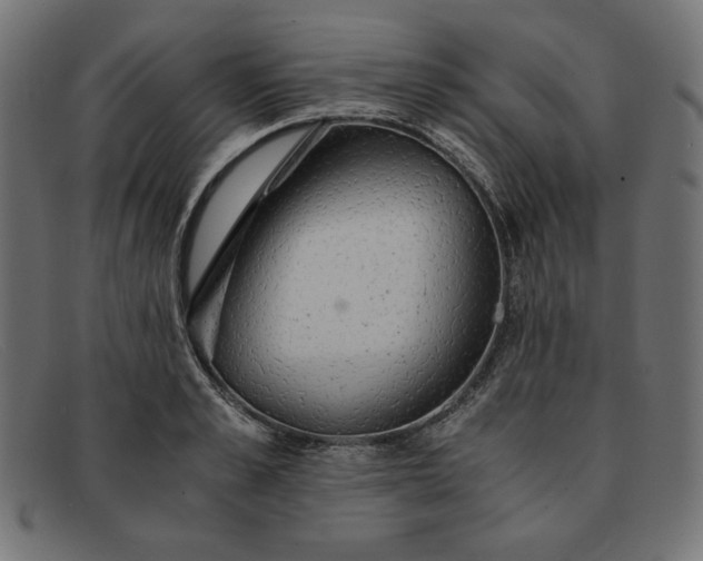 X0000091860989200709191112