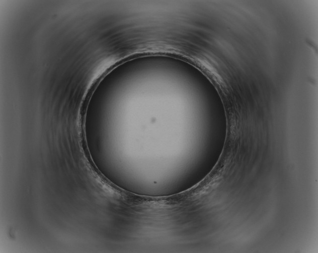 X0000091860990200709191112