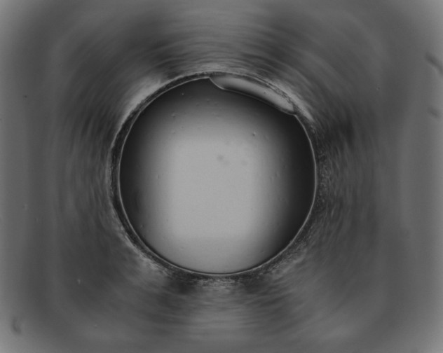 X0000091860991200709191112