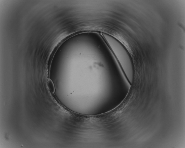 X0000091860992200709191112