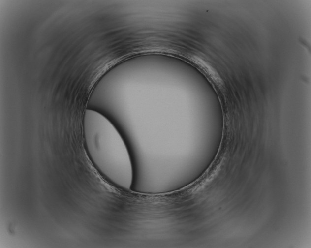 X0000091860993200709191112