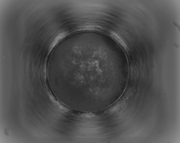 X0000091860994200709191112