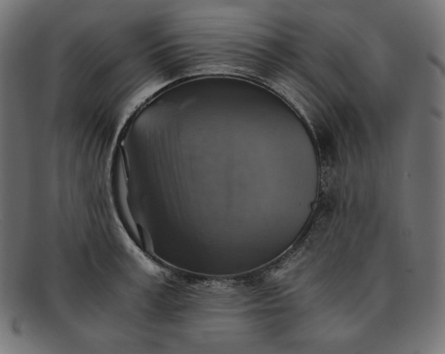 X0000091860995200709191112