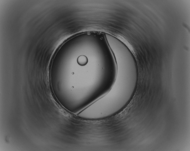 X0000091860996200709191112