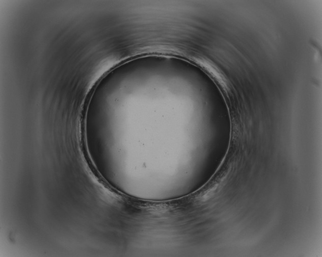 X0000091860999200709191112