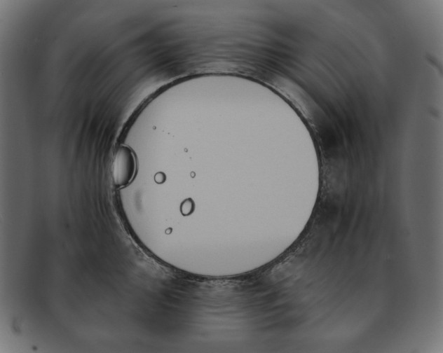 X0000091861000200709191112