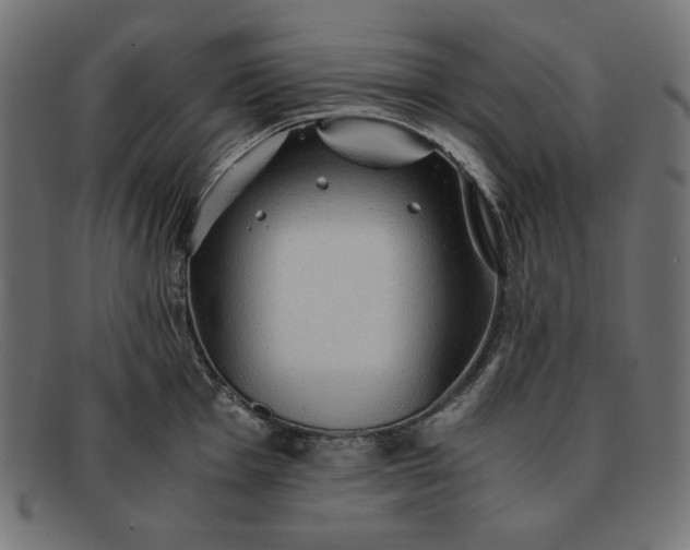 X0000091861001200709191112