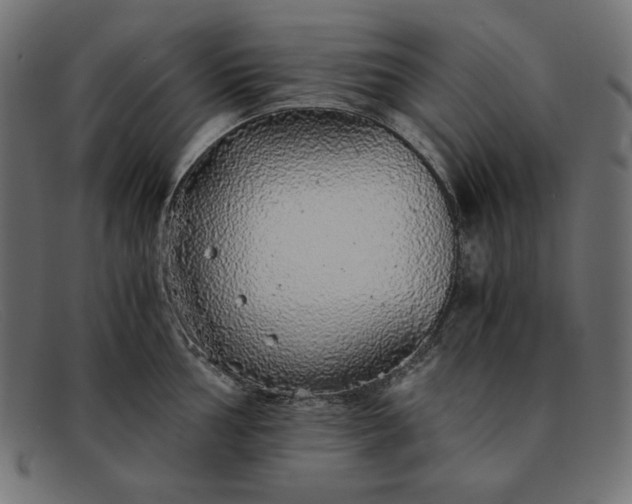 X0000091861002200709191112