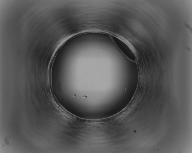 X0000091861004200709191112