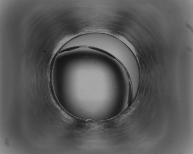 X0000091861005200709191112