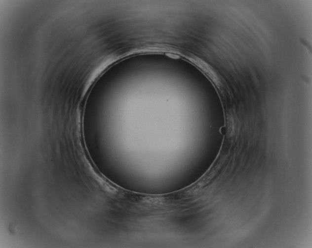 X0000091861006200709191112