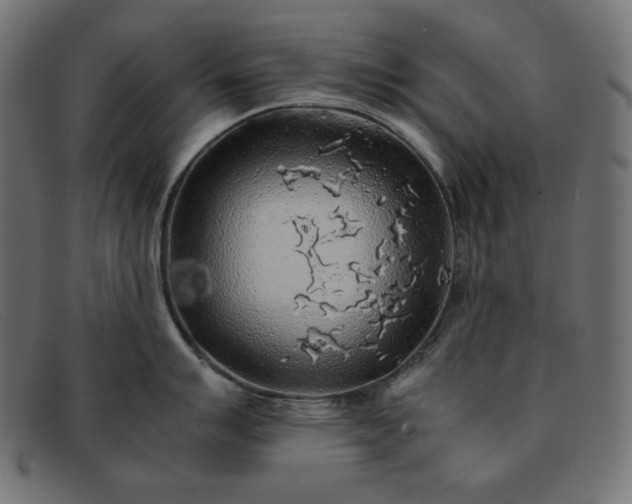 X0000091861007200709191112