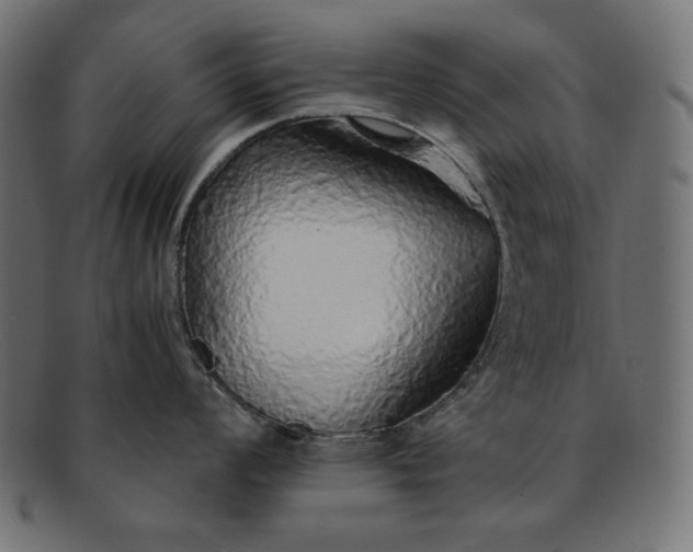 X0000091861008200709191112