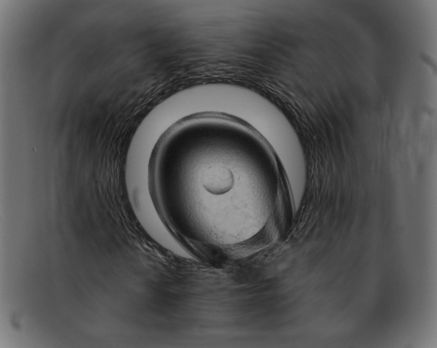 X0000091861010200709191112