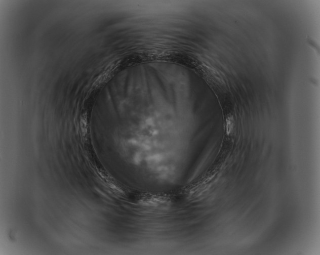 X0000091861011200709191112