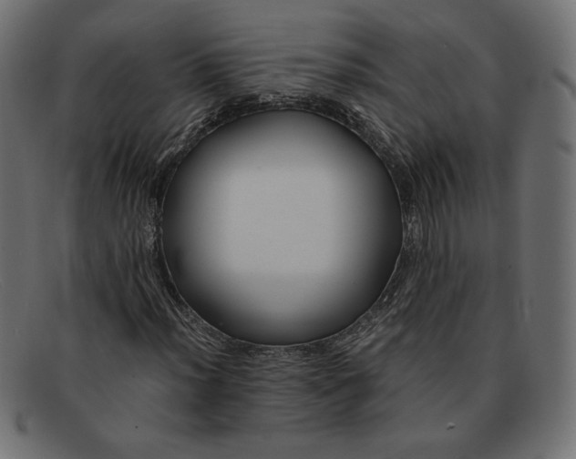 X0000091861012200709191112