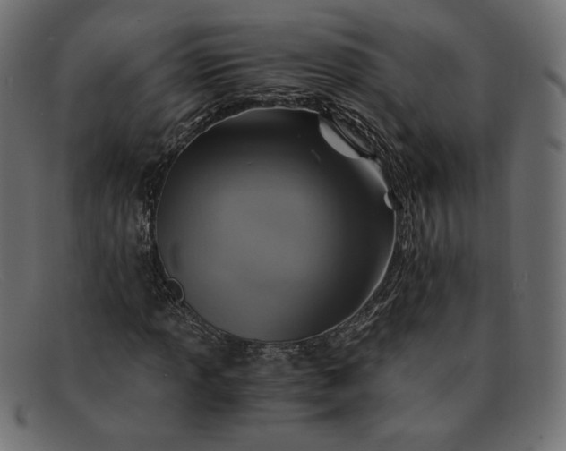 X0000091861013200709191112