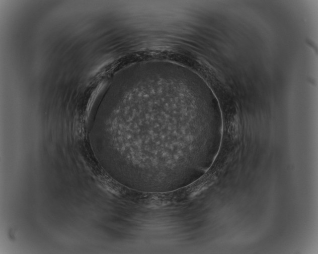 X0000091861014200709191112