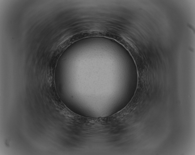 X0000091861015200709191112