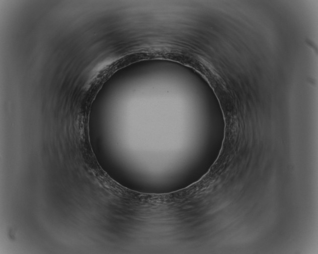 X0000091861016200709191112