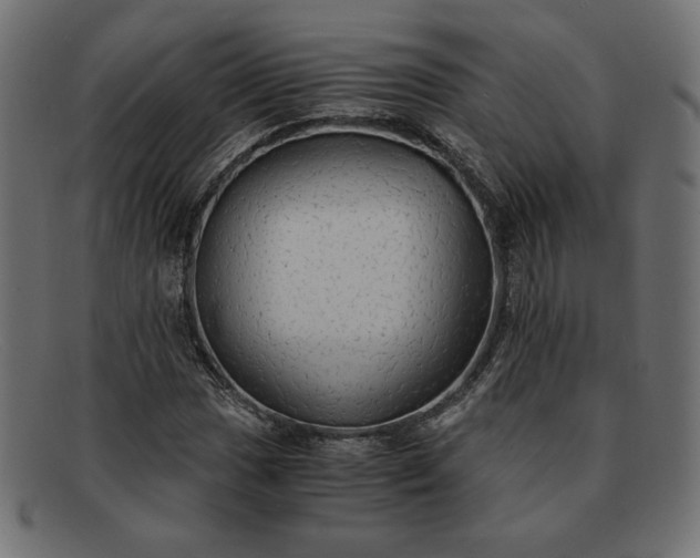 X0000091861017200709191112