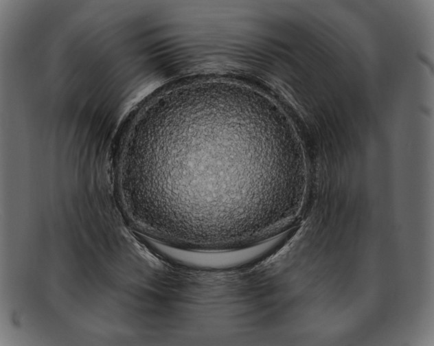 X0000091861018200709191112