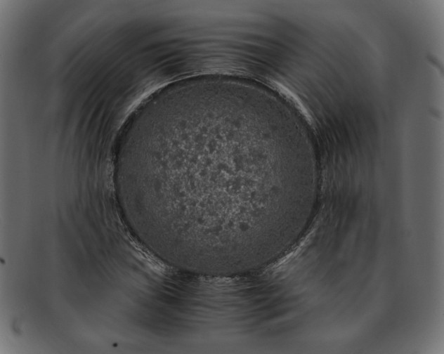 X0000091861019200709191112