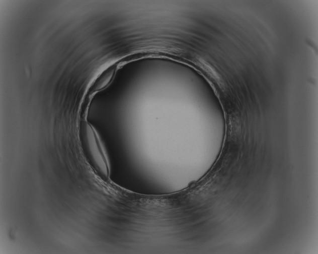 X0000091861020200709191112