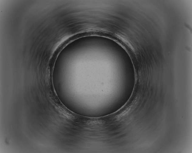 X0000091861021200709191112