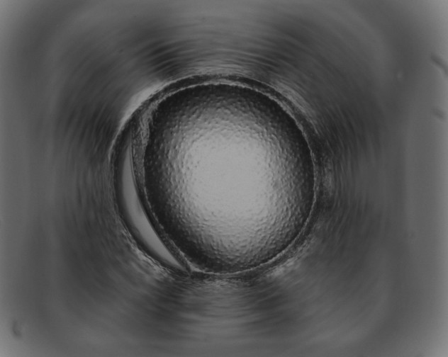 X0000091861022200709191112