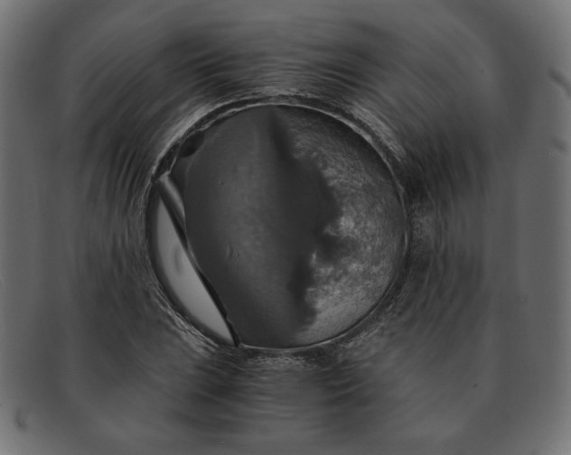 X0000091861023200709191112