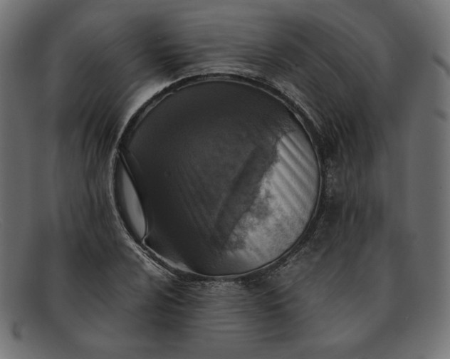 X0000091861024200709191112