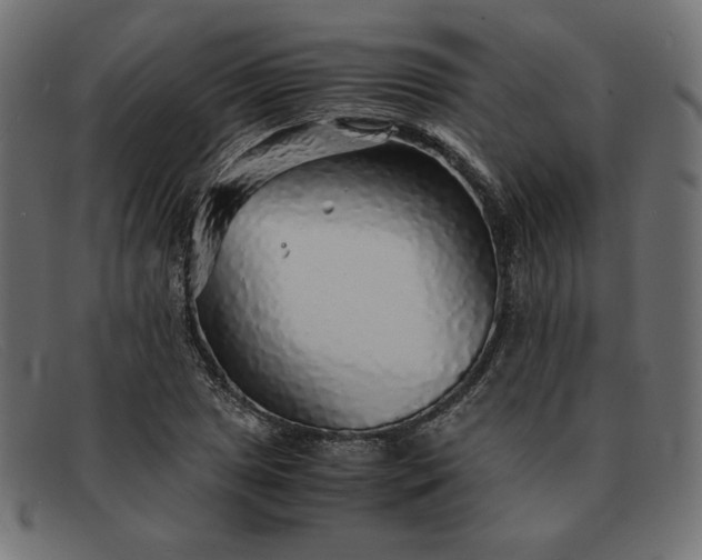 X0000091861025200709191112