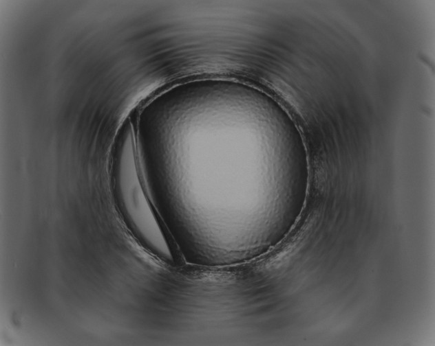 X0000091861026200709191112