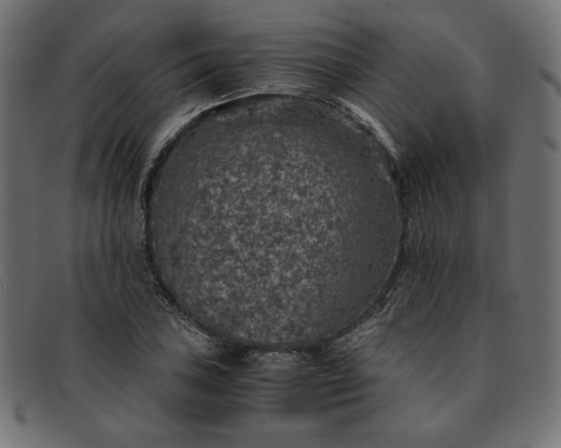 X0000091861027200709191112