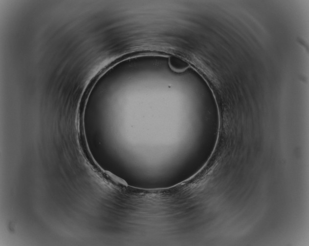 X0000091861028200709191112