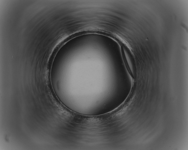 X0000091861029200709191112