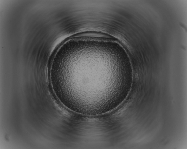 X0000091861030200709191112