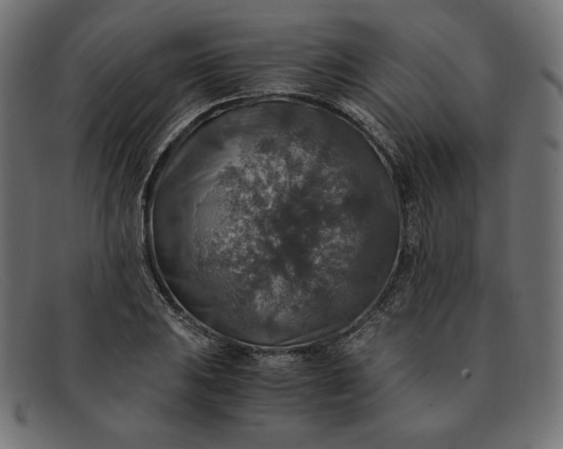 X0000091861031200709191112