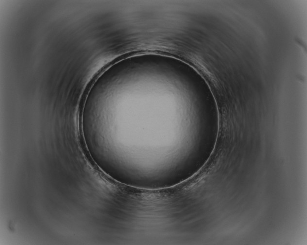 X0000091861032200709191112