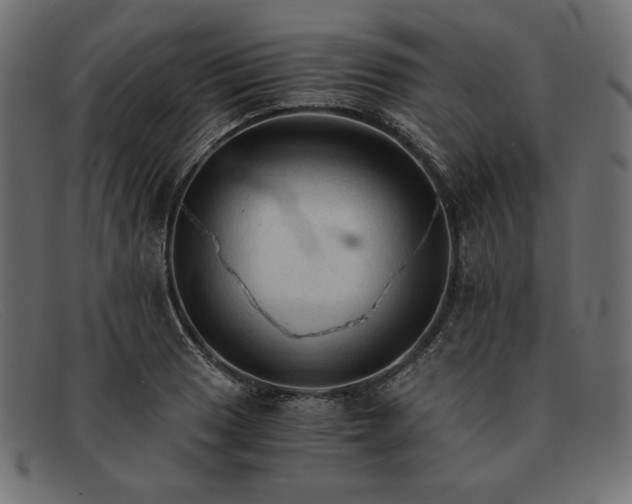 X0000091861033200709191112