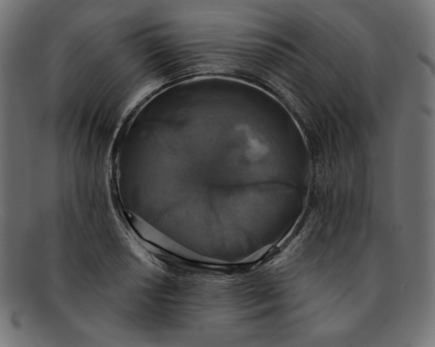 X0000091861034200709191112